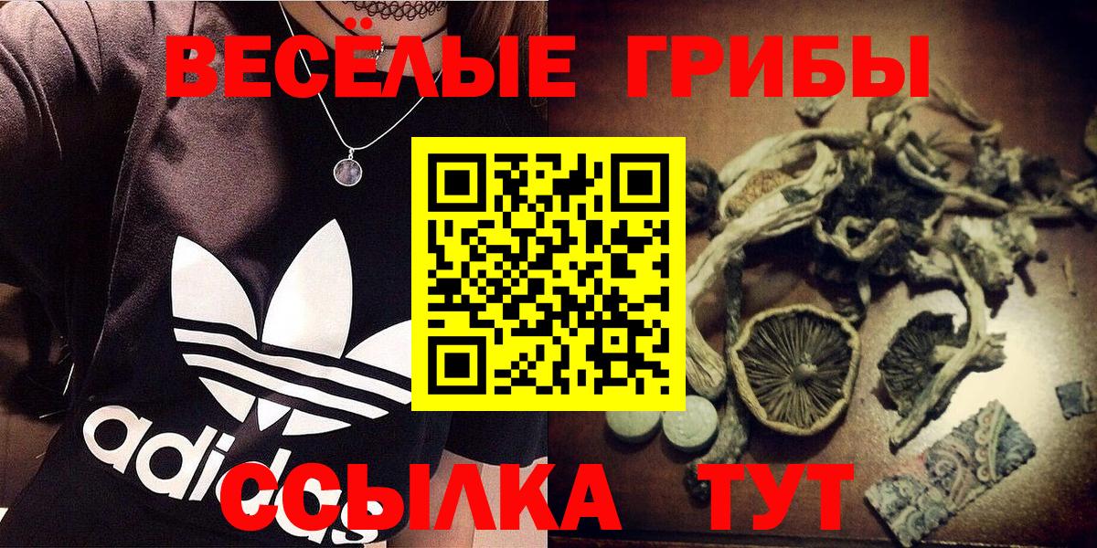 Псилоцибиновые грибы Cubensis Серпухов